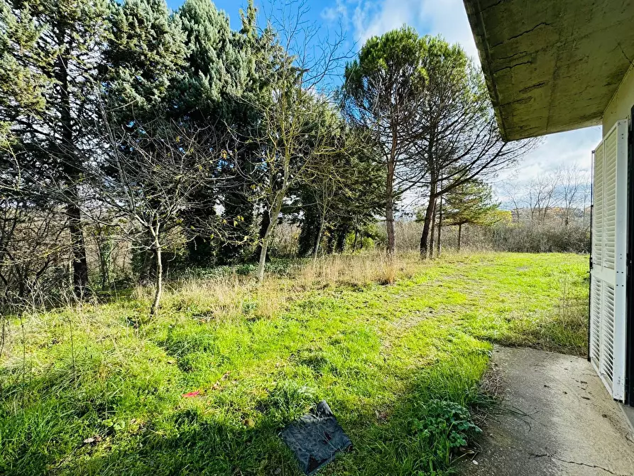 Immagine 3 di Casa indipendente in vendita  in CONTRADA CERRETO a Ariano Irpino