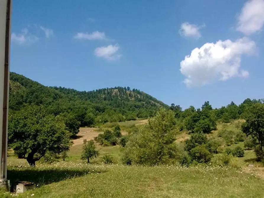 Immagine 3 di Casa indipendente in vendita  in macchia del monte a Montemarano