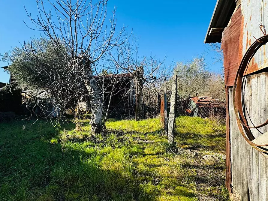 Immagine 22 di Casa semindipendente in vendita  in VIA LUIGI PIRANDELLO a Grottaminarda