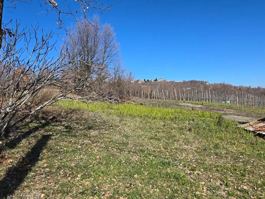 Immagine 11 di Villa in vendita  in C/da Quercete a Montemarano