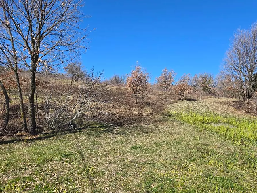 Immagine 12 di Villa in vendita  in C/da Quercete a Montemarano