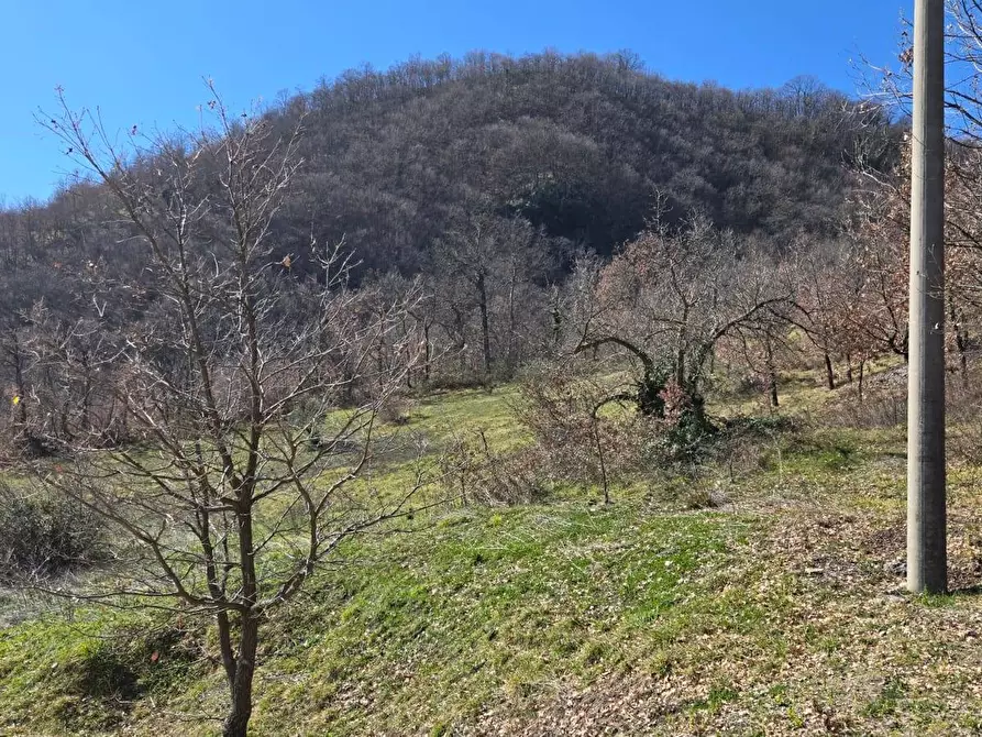 Immagine 14 di Villa in vendita  in C/da Quercete a Montemarano