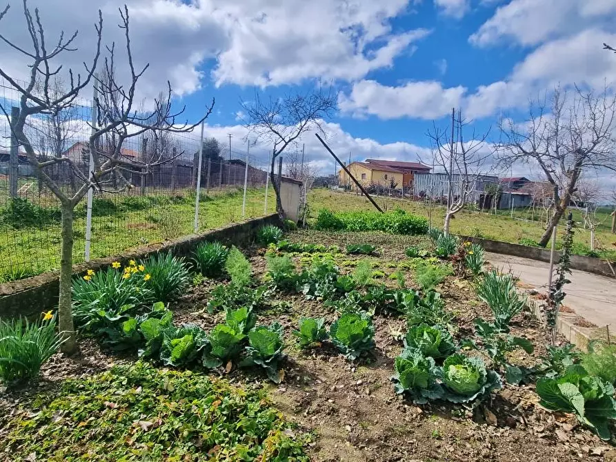 Immagine 13 di Casa indipendente in vendita  in C.da Scampata a Flumeri
