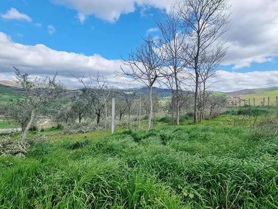 Immagine 15 di Casa indipendente in vendita  in C.da Scampata a Flumeri