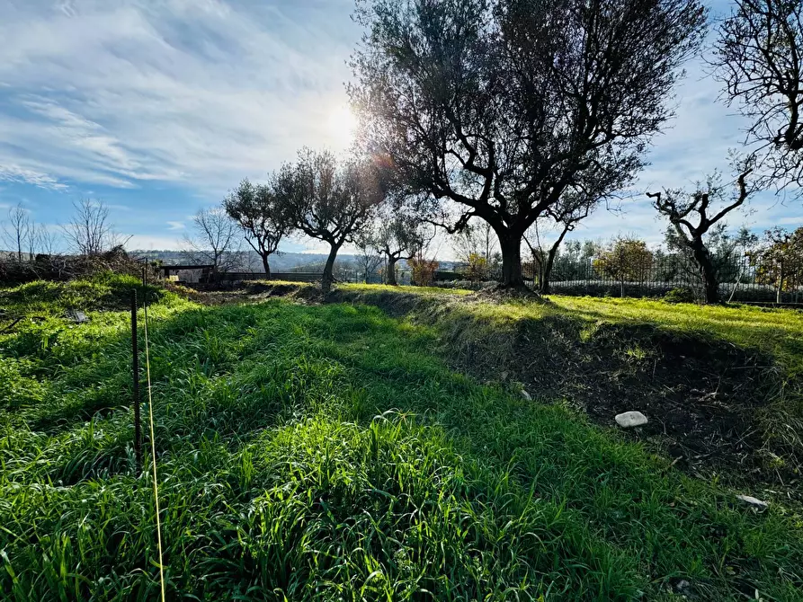 Immagine 4 di Terreno residenziale in vendita  in PASSO DI MRABELLA a Mirabella Eclano