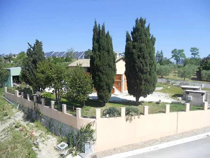 Immagine 2 di Rustico / casale in vendita  in offida a Offida