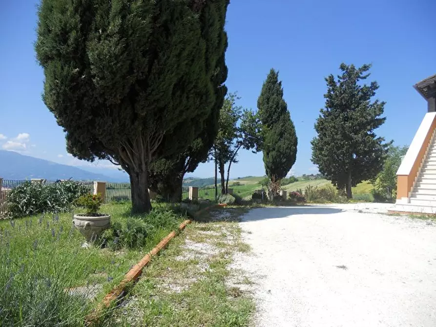 Immagine 9 di Rustico / casale in vendita  in offida a Offida