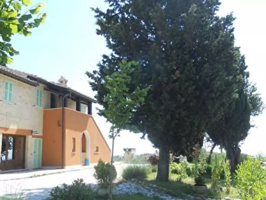 Immagine 11 di Rustico / casale in vendita  in offida a Offida