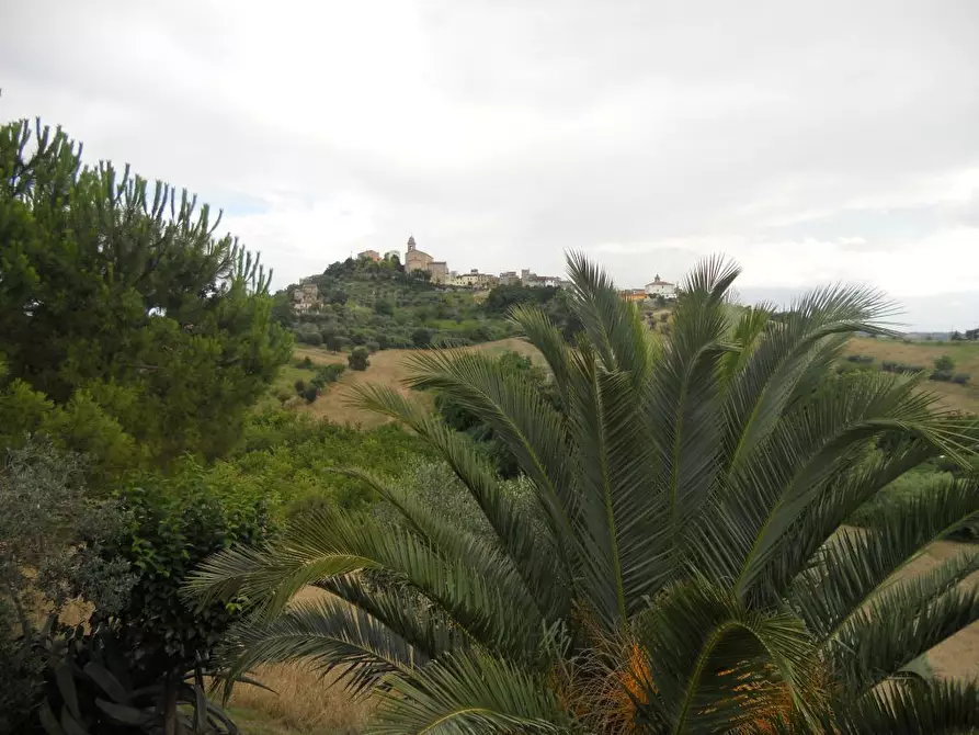 Immagine 20 di Rustico / casale in vendita  a Monsampolo Del Tronto