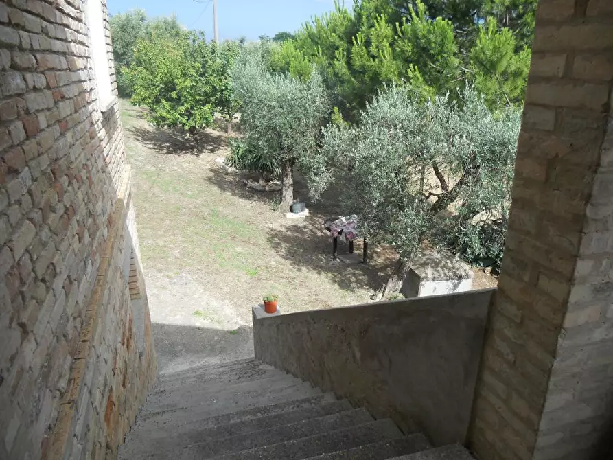 Immagine 23 di Rustico / casale in vendita  a Monsampolo Del Tronto