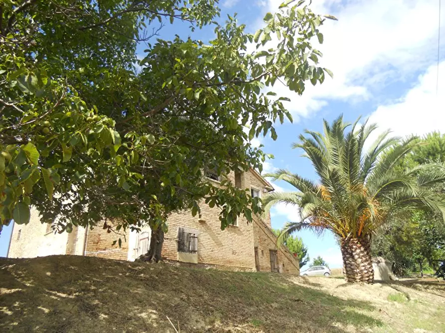 Immagine 2 di Rustico / casale in vendita  a Monsampolo Del Tronto
