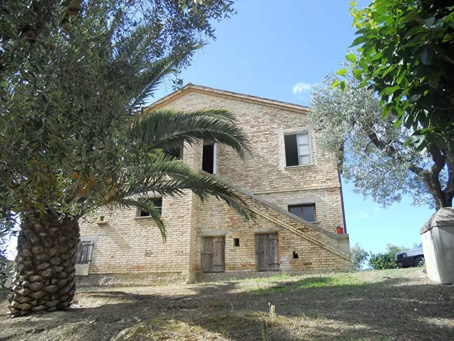 Immagine 3 di Rustico / casale in vendita  a Monsampolo Del Tronto