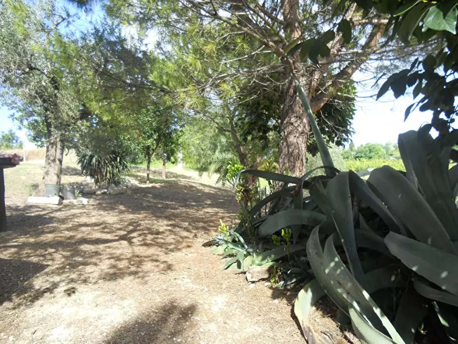 Immagine 25 di Rustico / casale in vendita  a Monsampolo Del Tronto