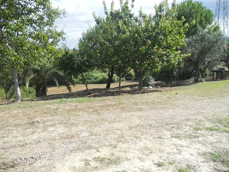 Immagine 18 di Rustico / casale in vendita  a Monsampolo Del Tronto