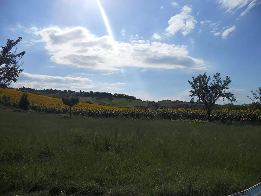 Immagine 29 di Rustico / casale in vendita  a Monsampolo Del Tronto