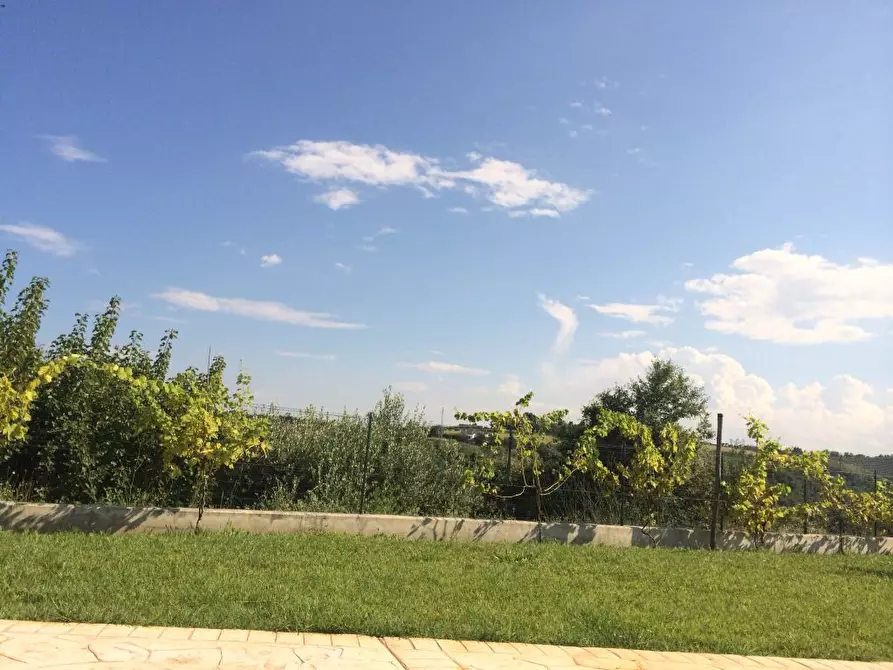 Immagine 24 di Villa in affitto  a Cupra Marittima