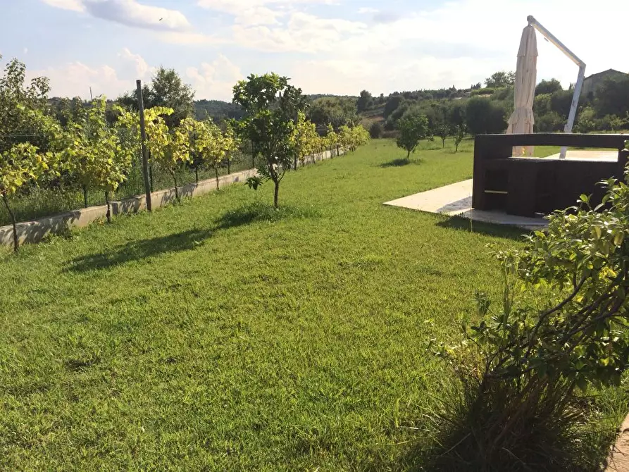 Immagine 28 di Villa in affitto  a Cupra Marittima