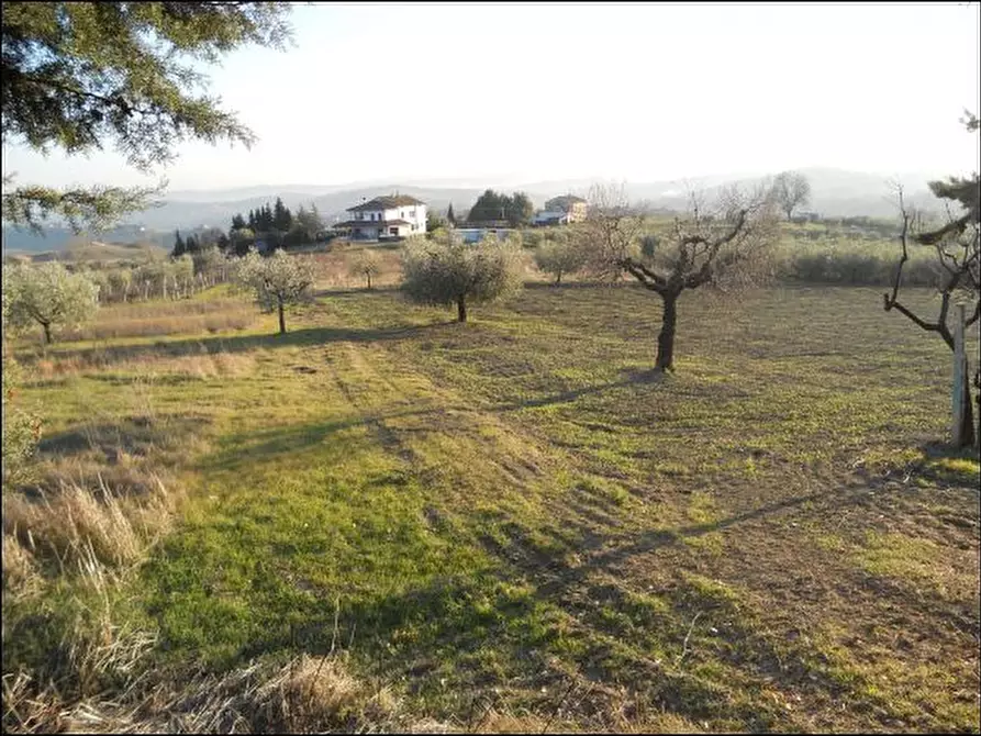 Immagine 17 di Rustico / casale in vendita  in contrada Lava a Offida