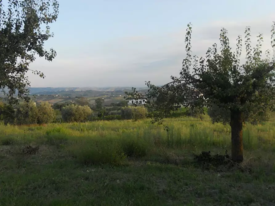 Immagine 14 di Rustico / casale in vendita  in contrada Lava a Offida
