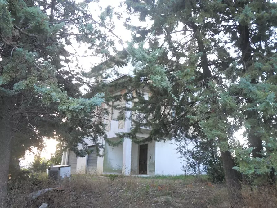 Immagine 15 di Rustico / casale in vendita  in contrada Lava a Offida