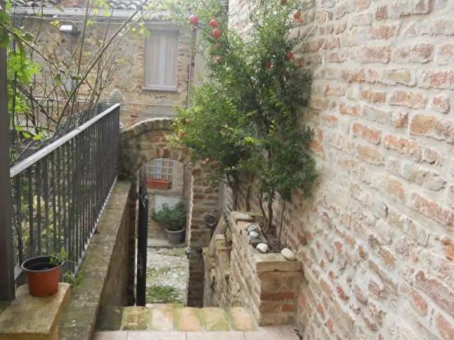 Immagine 16 di Appartamento in vendita  a Ripatransone