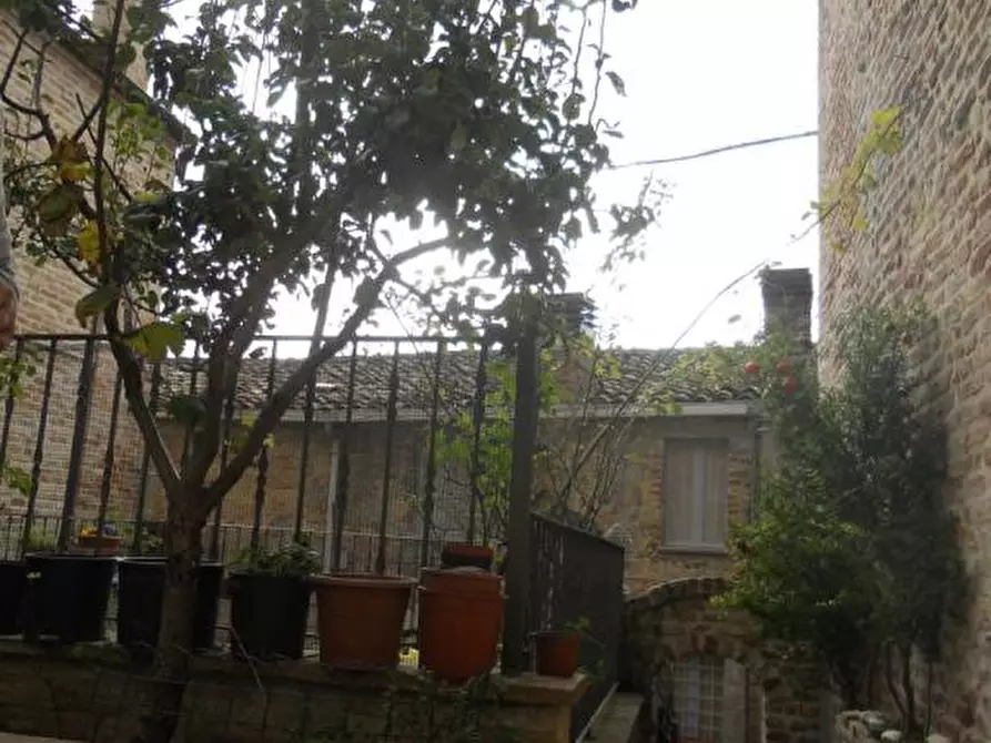 Immagine 14 di Appartamento in vendita  a Ripatransone