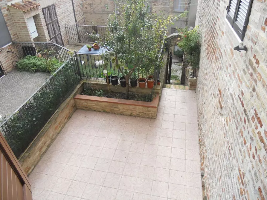 Immagine 12 di Appartamento in vendita  a Ripatransone