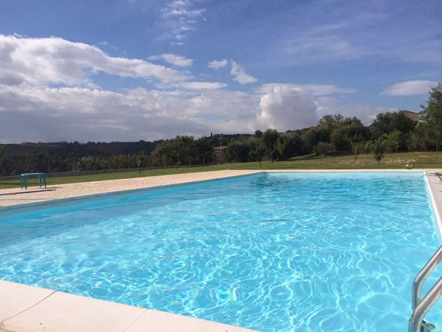 Immagine 21 di Villa in affitto  a Cupra Marittima