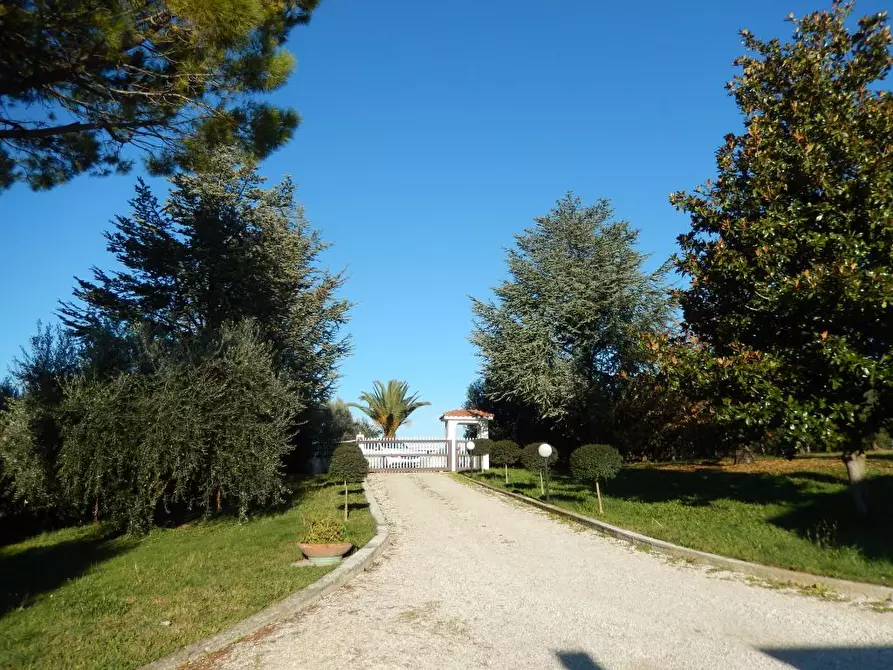 Immagine 30 di Casa indipendente in vendita  in Contr.da Sant'Andrea a Cupra Marittima