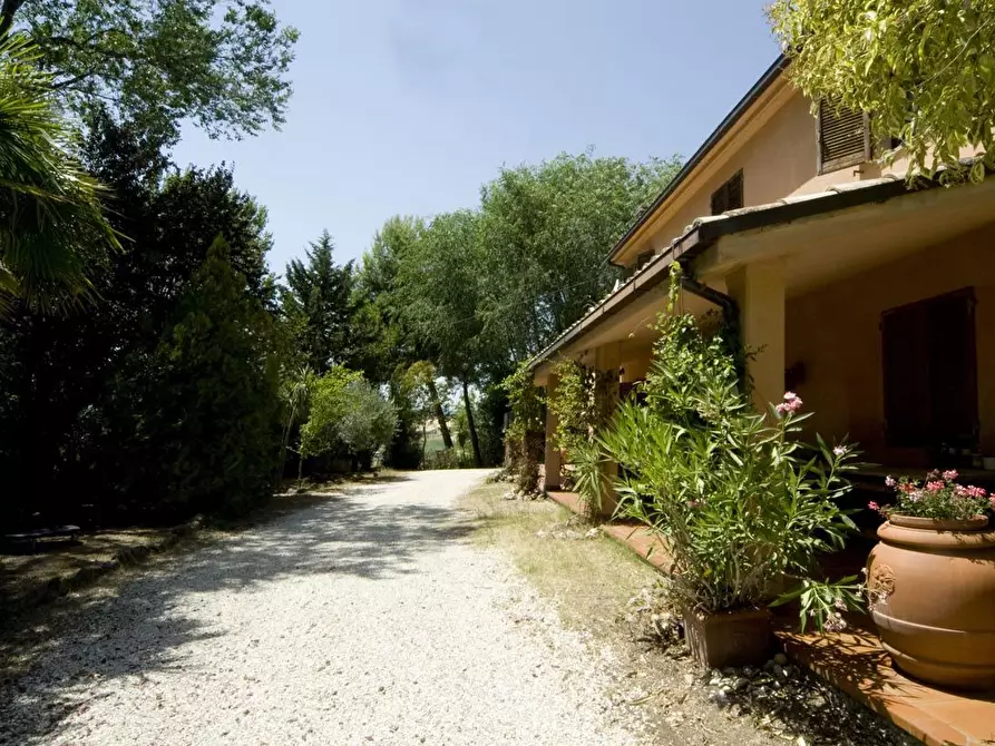 Immagine 2 di Rustico / casale in vendita  a Cossignano