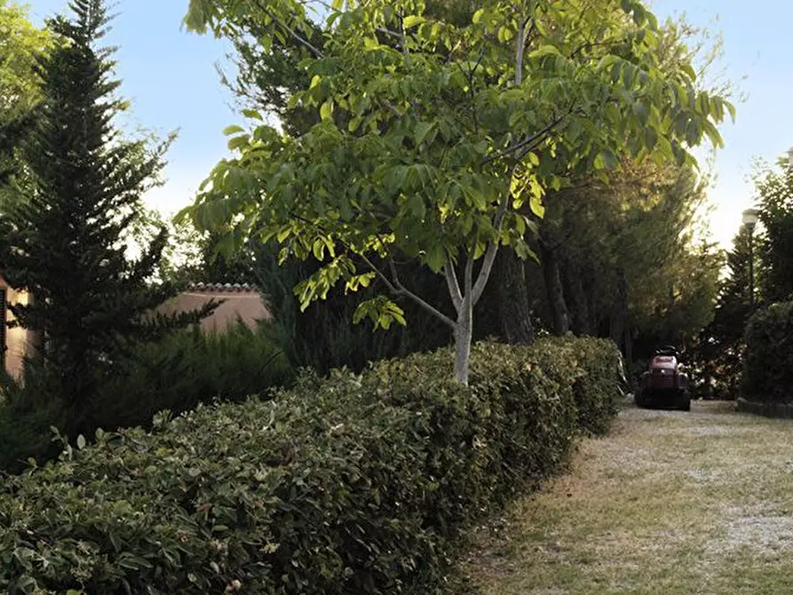 Immagine 4 di Rustico / casale in vendita  a Cossignano