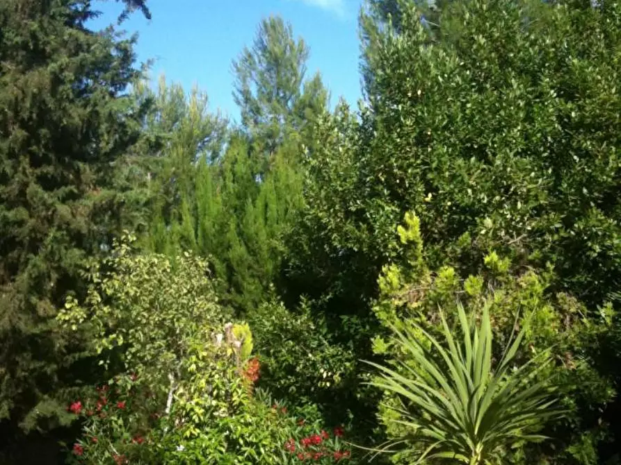 Immagine 9 di Rustico / casale in vendita  a Cossignano