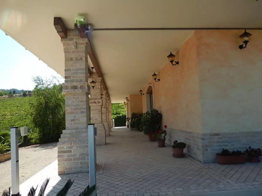 Immagine 7 di Villa in vendita  a Colonnella