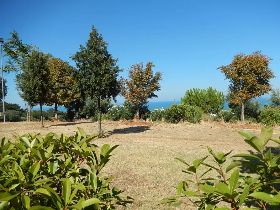 Immagine 26 di Villa in vendita  a Colonnella