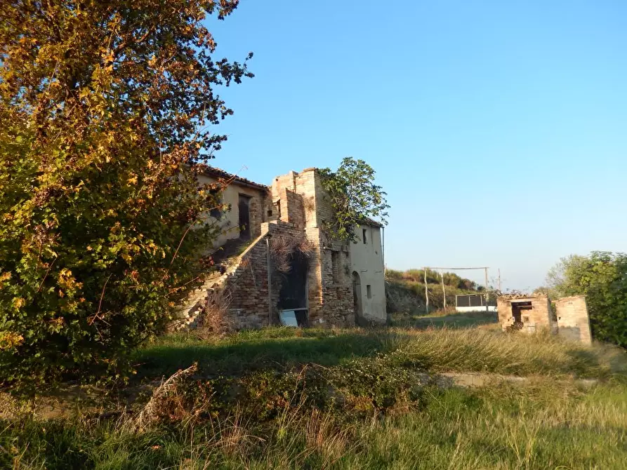 Immagine 8 di Agriturismo in vendita  a Cupra Marittima