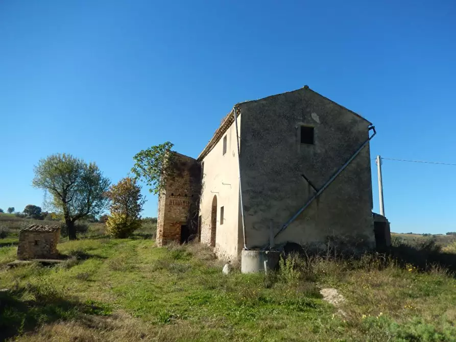 Immagine 12 di Agriturismo in vendita  a Cupra Marittima