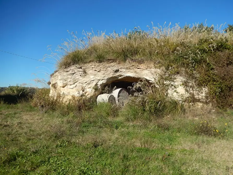 Immagine 17 di Agriturismo in vendita  a Cupra Marittima