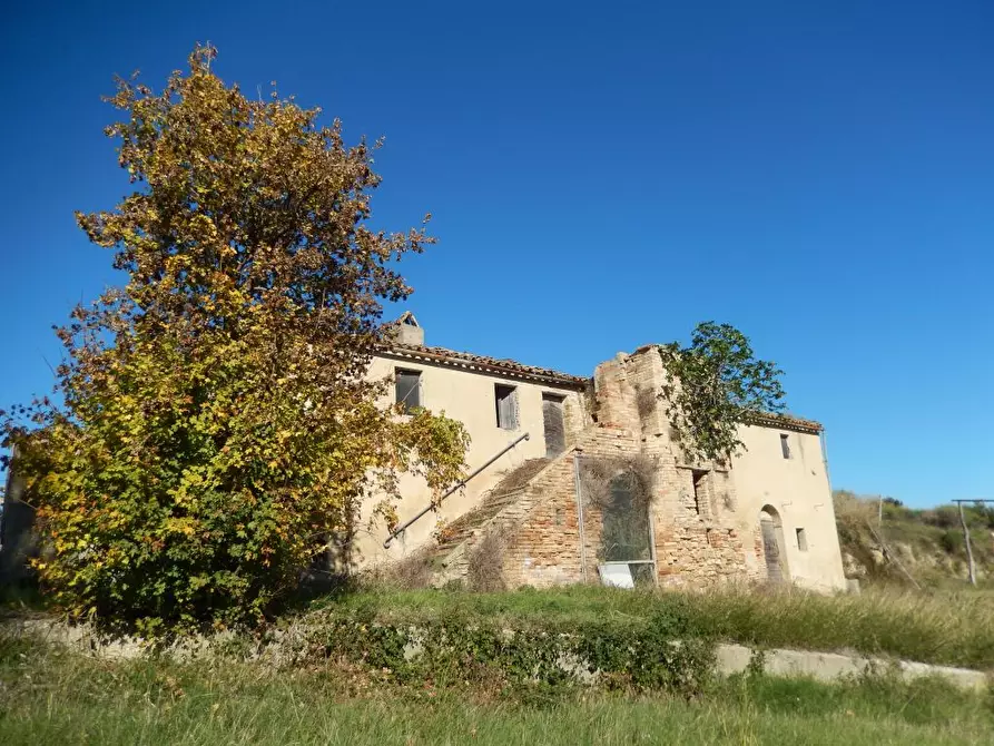 Immagine 11 di Agriturismo in vendita  a Cupra Marittima