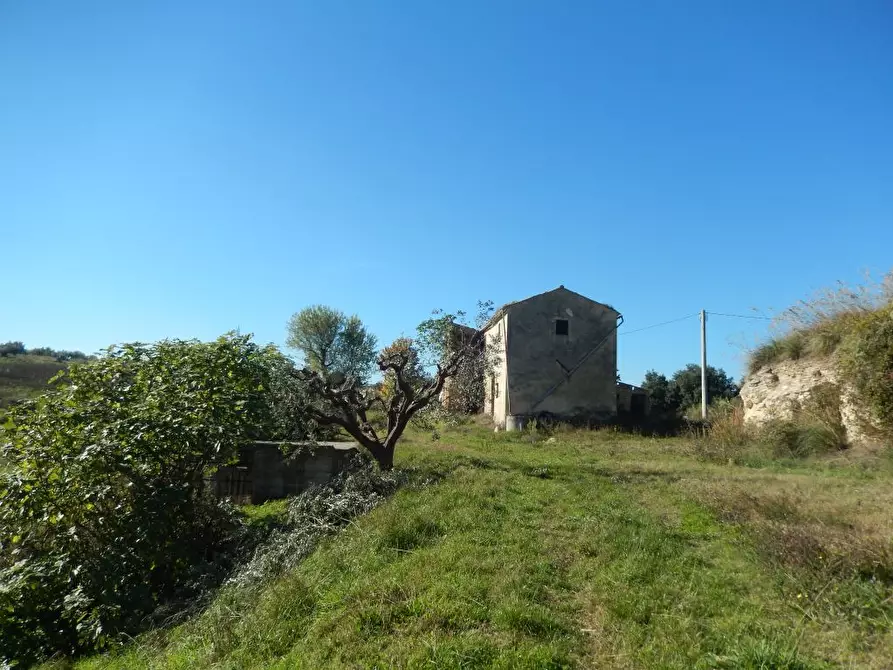 Immagine 19 di Agriturismo in vendita  a Cupra Marittima