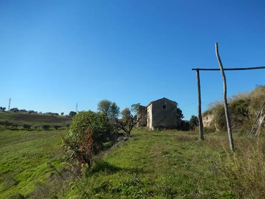 Immagine 13 di Agriturismo in vendita  a Cupra Marittima
