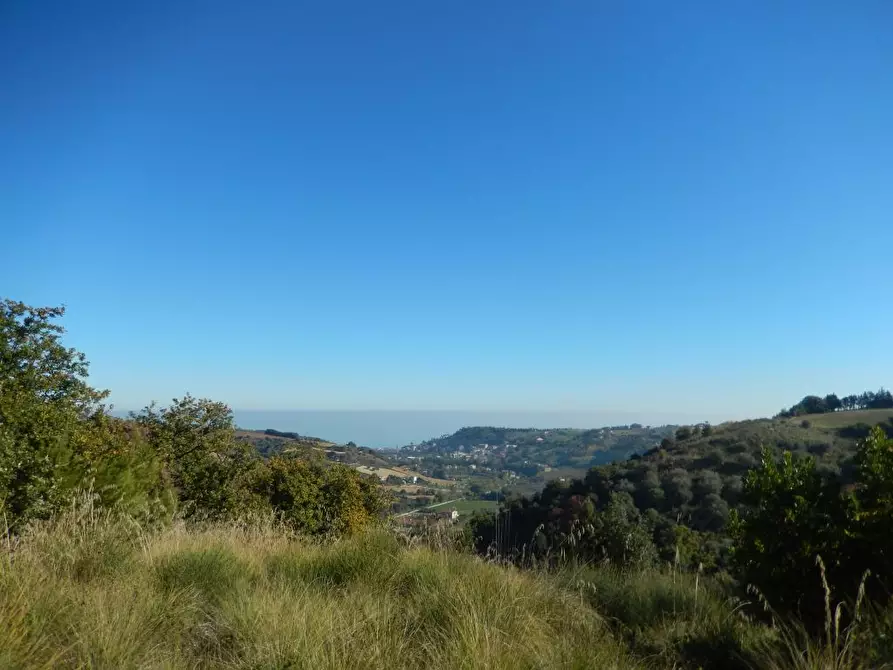 Immagine 18 di Agriturismo in vendita  a Cupra Marittima