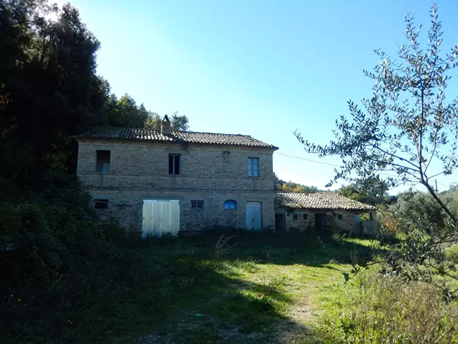 Immagine 24 di Agriturismo in vendita  a Cupra Marittima