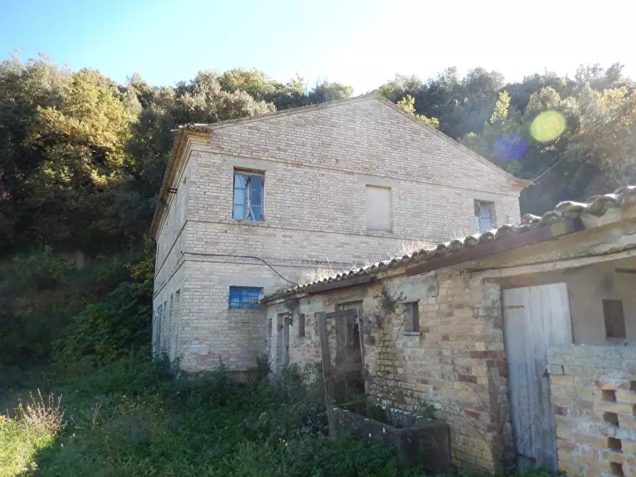 Immagine 25 di Agriturismo in vendita  a Cupra Marittima