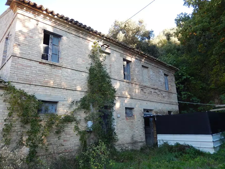 Immagine 26 di Agriturismo in vendita  a Cupra Marittima