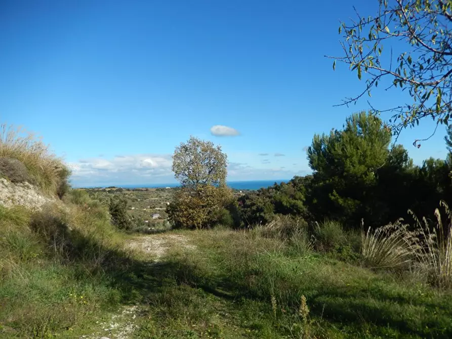 Immagine 21 di Agriturismo in vendita  a Cupra Marittima