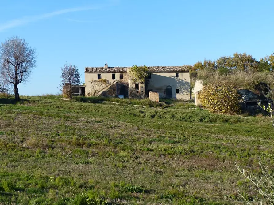 Immagine 20 di Agriturismo in vendita  a Cupra Marittima