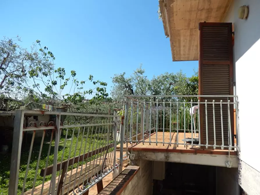 Immagine 18 di Rustico / casale in vendita  a Controguerra