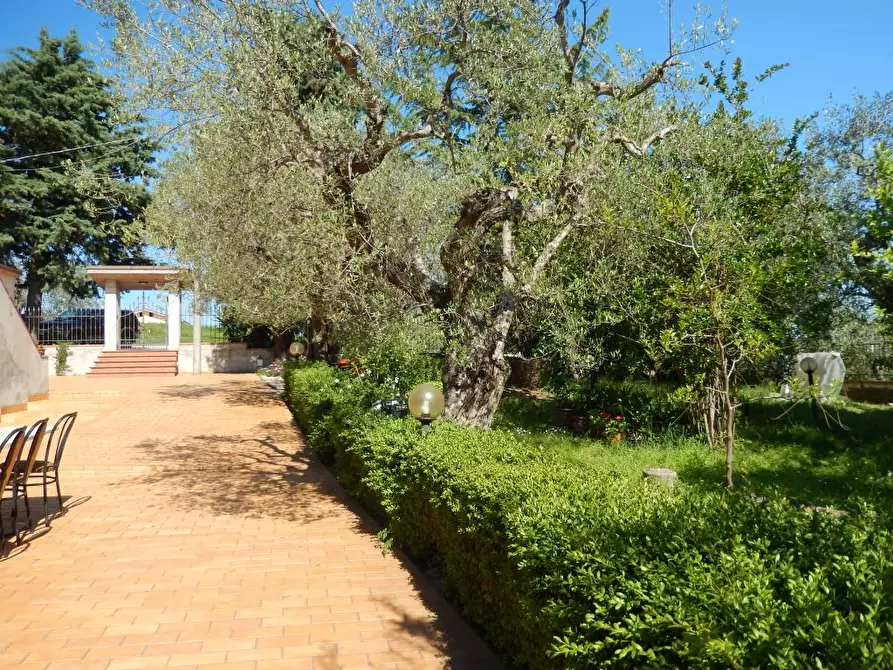 Immagine 20 di Rustico / casale in vendita  a Controguerra