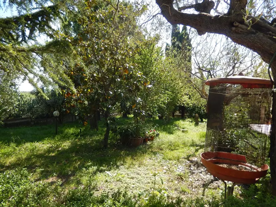 Immagine 23 di Rustico / casale in vendita  a Controguerra