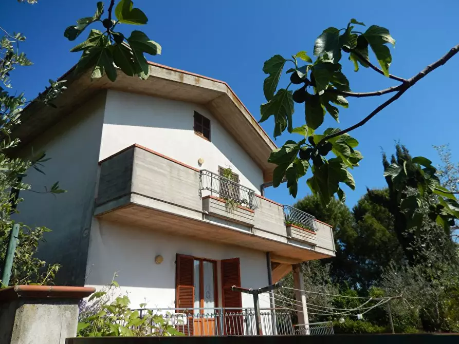 Immagine 24 di Rustico / casale in vendita  a Controguerra